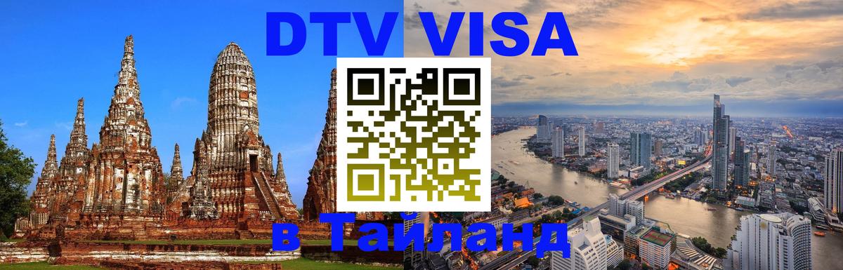 Оформление DTV визы под ключ: стоимость и тарифы, только загранпаспорт - Мурманск 
